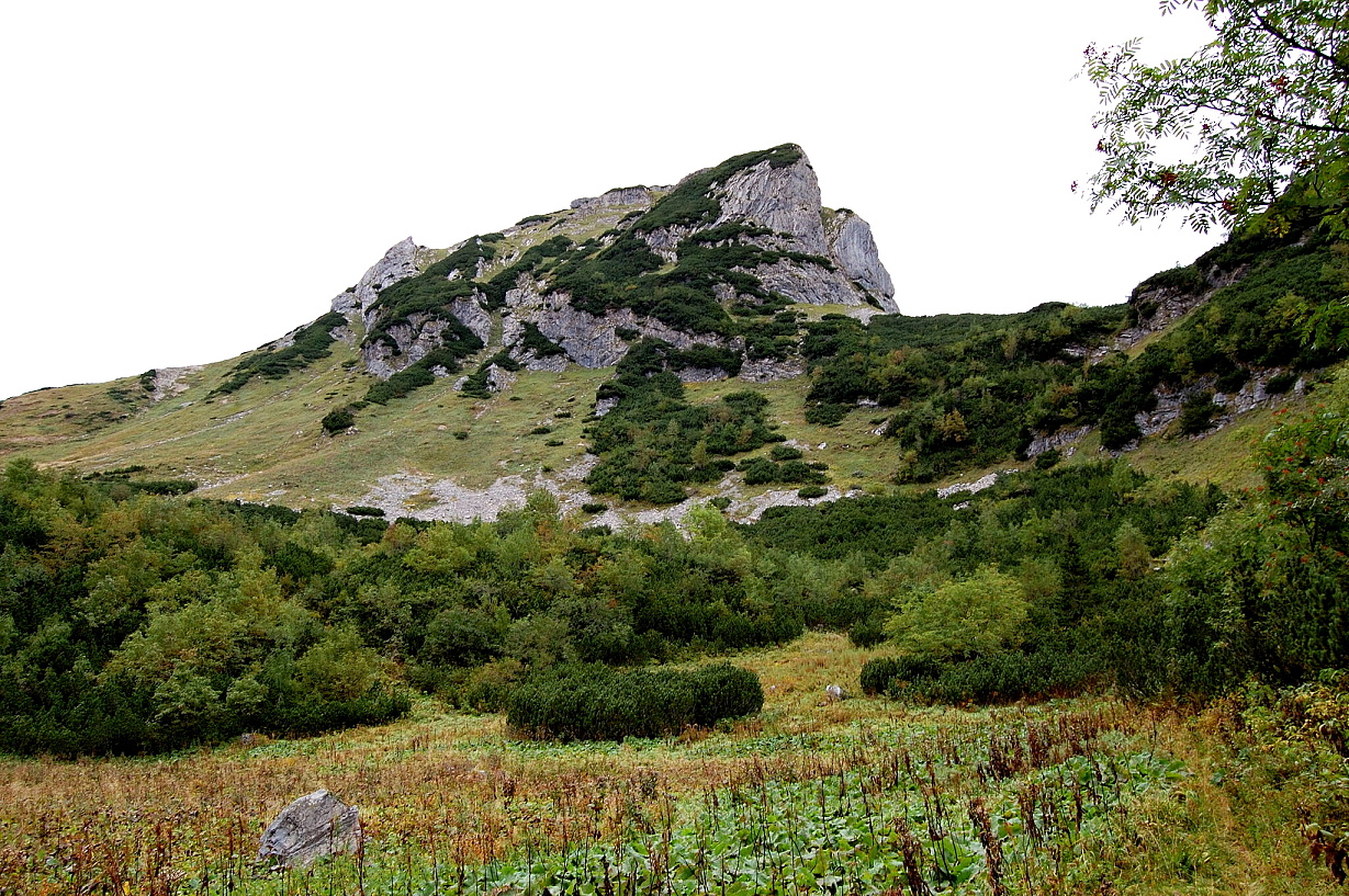 Tomanovské sedlo-Červené vrchy-Kasprov vrch 17.9.20111732